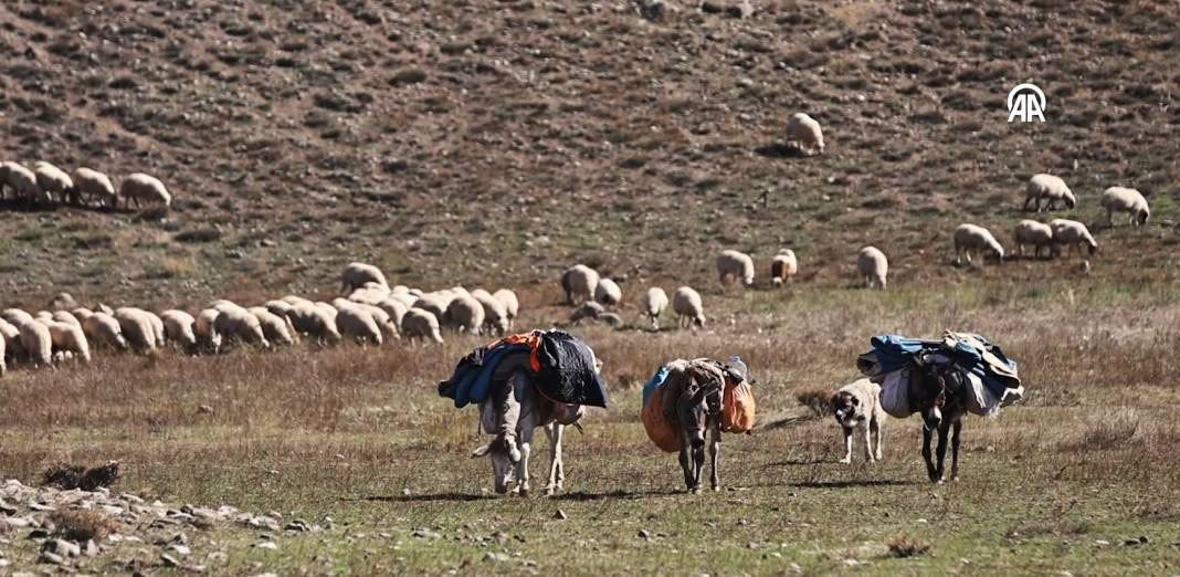 Göçerlerin kurt ve ayı tehlikesi altında zorlu yolculuğu - Resim: 10